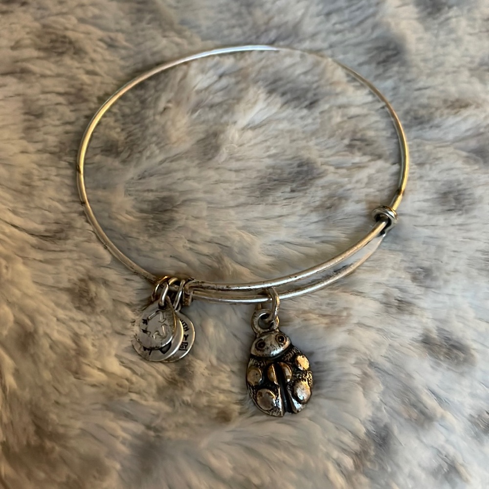 Silver Ladybug Alex and Ani